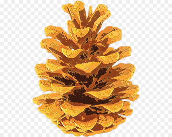 yellow tree plant leaf pine yellow tree plant leaf pine