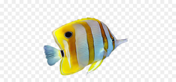 Yellow Tropical fish - Yellow striped tropical fish Yellow Tropical fish - Yellow striped tropical fish