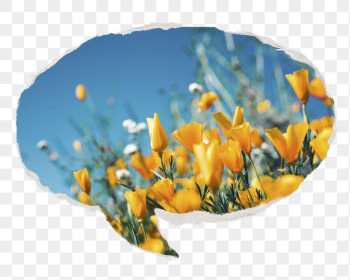 Yellow tulip png field, Spring | Free PNG - rawpixel