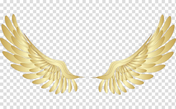 Yellow wings illustration, Wing Gold , Golden wings transparent background PNG clipart