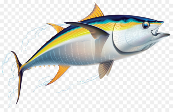 Yellowfin tuna Fishing Friend of the Sea - fish Yellowfin tuna Fishing Friend of the Sea - fish