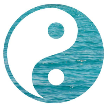 yin yang tumblr transparent - Google Search | yin&yang | Yin yang ...