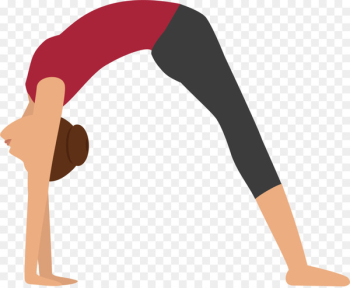 Yoga to the People Download Anti-gravity yoga - People do yoga 