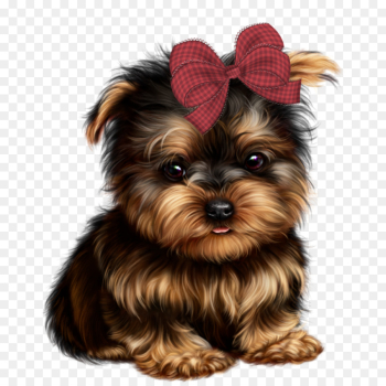 Yorkshire Terrier, Morkie, Yorkipoo, Dog, Mammal PNG Yorkshire Terrier, Morkie, Yorkipoo, Dog, Mammal PNG