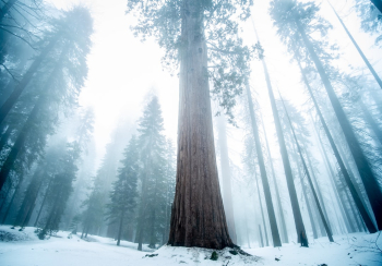 You can almost feel the silence. You can almost feel the silence.