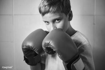 Youg boxer | Free stock photo - 428028 Youg boxer | Free stock photo - 428028