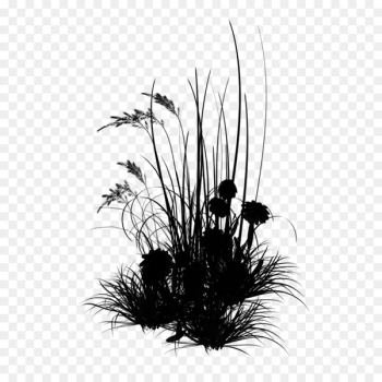 Young Living IMVU Flower Grasses Cell - Young Living IMVU Flower Grasses Cell -