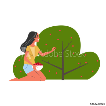 Young woman harvesting berries from the bush Young woman harvesting berries from the bush