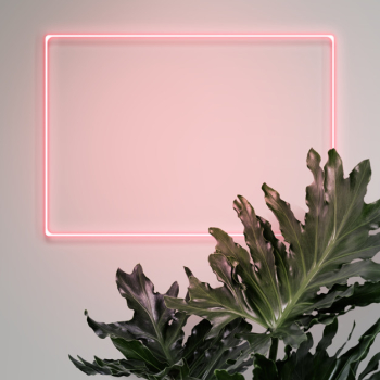 Your design here neon sign Free Psd Your design here neon sign Free Psd