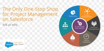 Your Project Management Coach Project Management Productivity - Your Project Management Coach Project Management Productivity