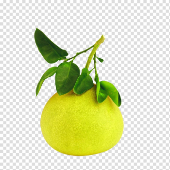 Yuja-cha Fruit Vegetarian cuisine Banpeiyu Nutrition, grapefruit transparent background PNG clipart