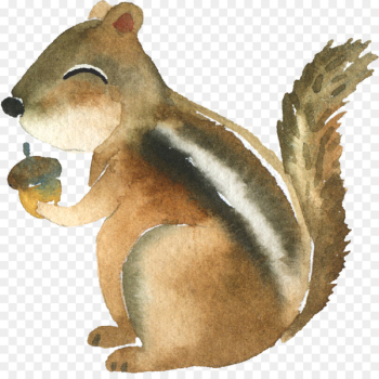 Zanj sun squirrel Mug Poison Boyfriend - woodland 