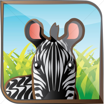 Zebra Zebra