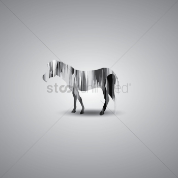 Zebra Zebra