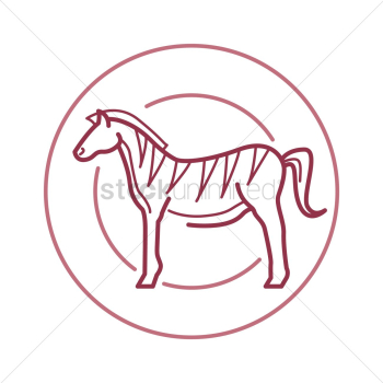 Zebra Zebra