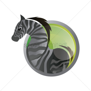 Zebra Zebra