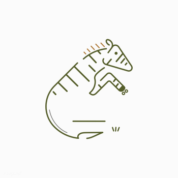 Zebra animal badge | Free stock vector - 1205099