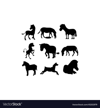 zebra animal collection set zebra animal collection set