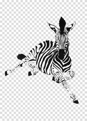 Zebra Horse Drawing Ink Animal, Zebra Animal transparent background PNG clipart Zebra Horse Drawing Ink Animal, Zebra Animal transparent background PNG clipart