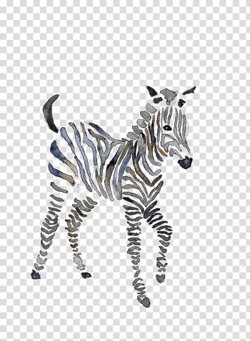 Zebra illustration, Quagga Zebra Watercolor painting Okapi, zebra transparent background PNG clipart