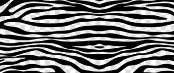 Zebra Print PNG High-Quality Image Zebra Print PNG High-Quality Image