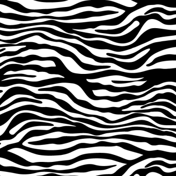 Zebra Print Vector Art | 123Freevectors Zebra Print Vector Art | 123Freevectors