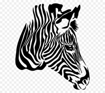 Zebra Vector graphics Drawing Illustration Image - zebra Zebra Vector graphics Drawing Illustration Image - zebra