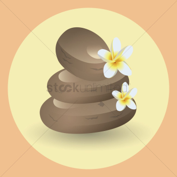 Zen stones and flowers