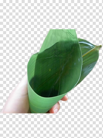 Zongzi Leaf Gratis, Bamboo leaves folded into a funnel-shaped transparent background PNG clipart