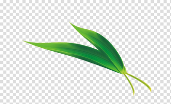 Zongzi Leaf Rice cake u7aefu5348, Bamboo leaves transparent background PNG clipart