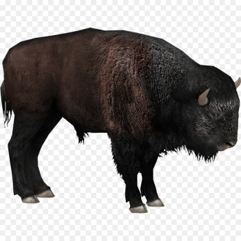 Zoo Tycoon 2, Plains Bison, European Bison, Vertebrate, Bison PNG