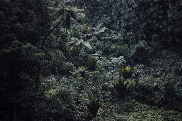A high-angle shot of a humid | Free Photo - rawpixel