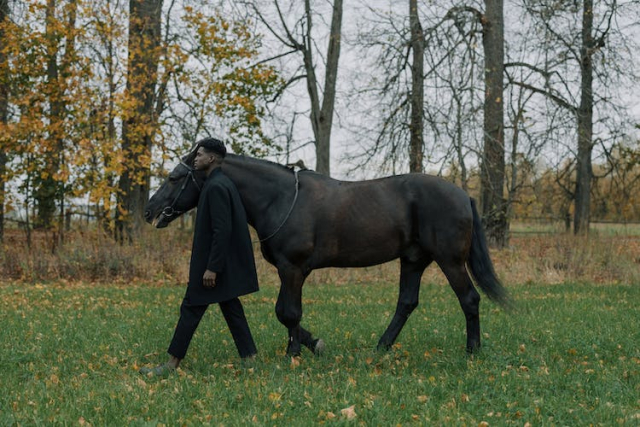 A Man Walking with a Horse