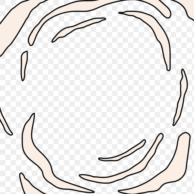 Abstract frame png, doodle squiggly | Free PNG Sticker - rawpixel