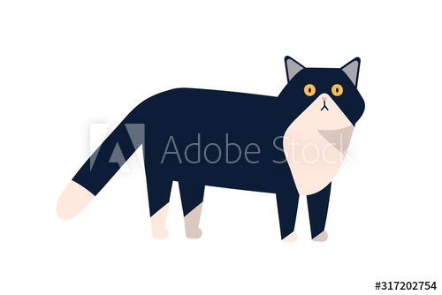 Adorable mammal domestic animal vector flat illustration