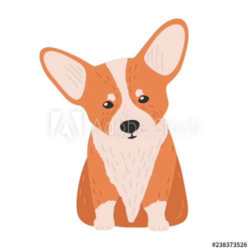 Adorable Pembroke welsh corgi