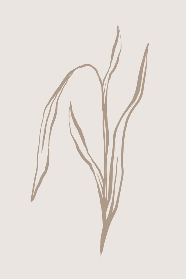 Aesthetic leaf line art, aesthetic | Free Photo - rawpixel