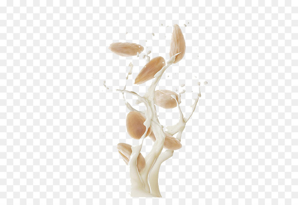 Almond milk Splash - Splashes of almond milk