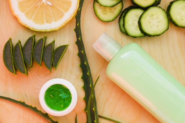 Aloe vera and cucumber with beauty cream Free Photo