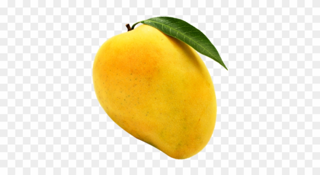 Alphonso Mango Png