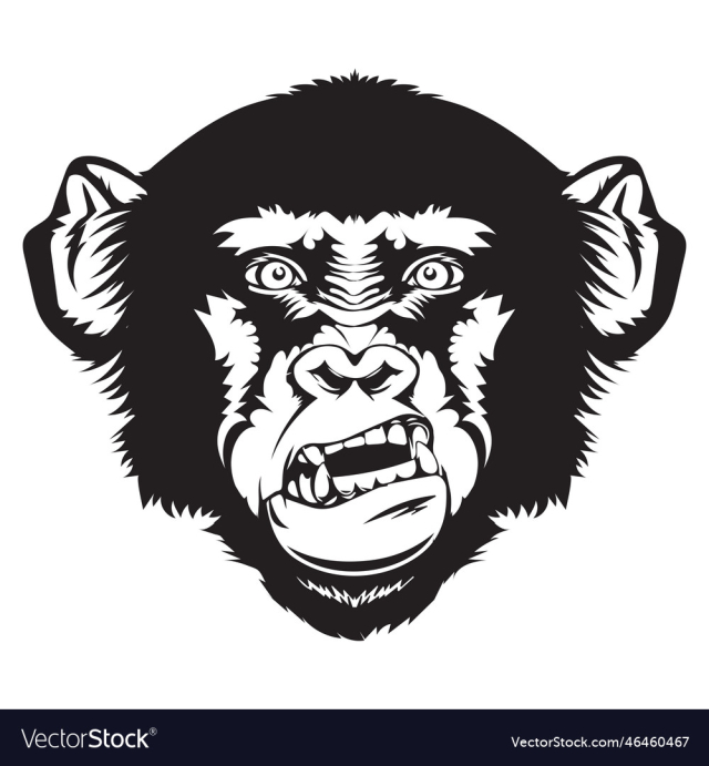 angry gorilla