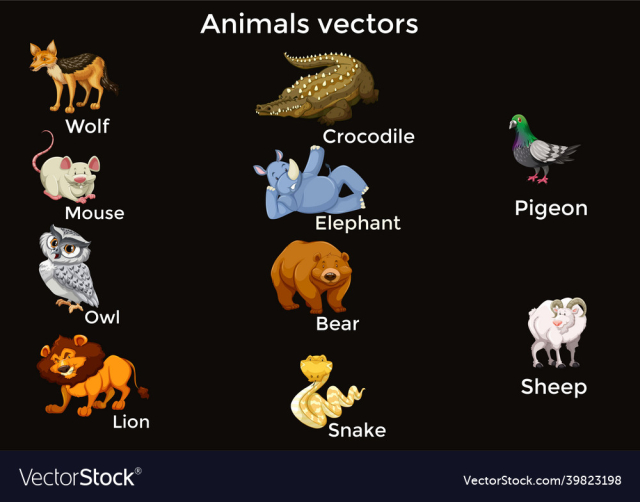animals