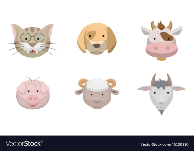 animals