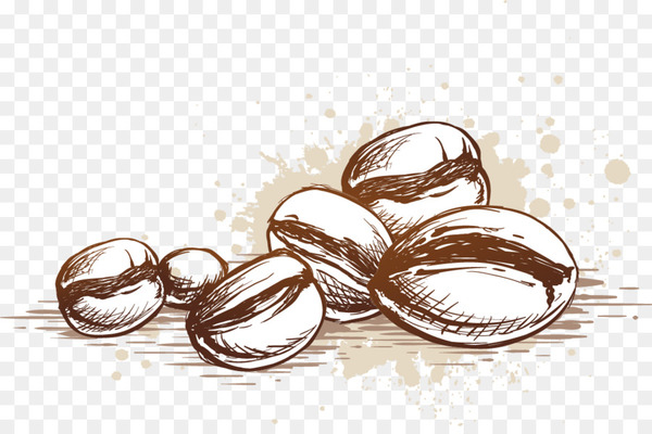 Arabic coffee Espresso Cafe - Coffee vector decorative material