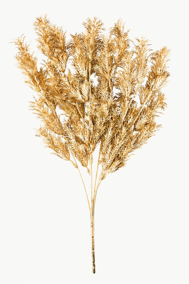 Artificial gold fern leaves design element | Free  transparent png - 2355415