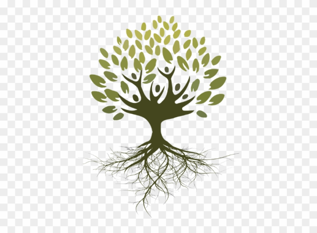 Asociaci N Ra Ces For Dibujo De Arbol Con Raices Y - Arbol Con Raices Png