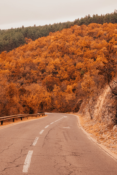 Asphalt Road