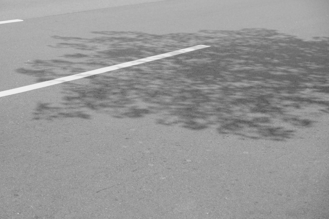 Asphalt Road