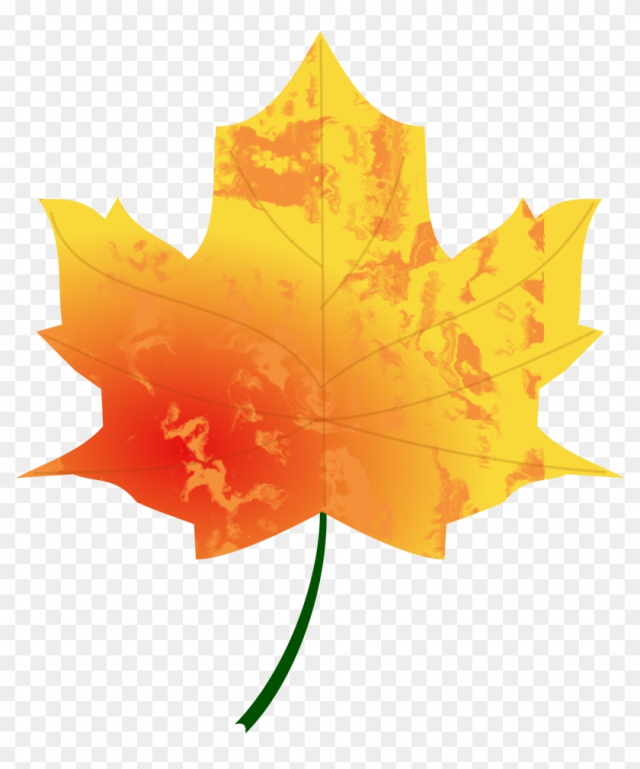 Autumn Leaf 4 - Autumn Leaf