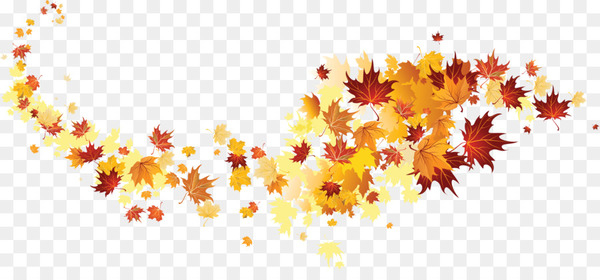 Autumn leaf color - autumn leaves